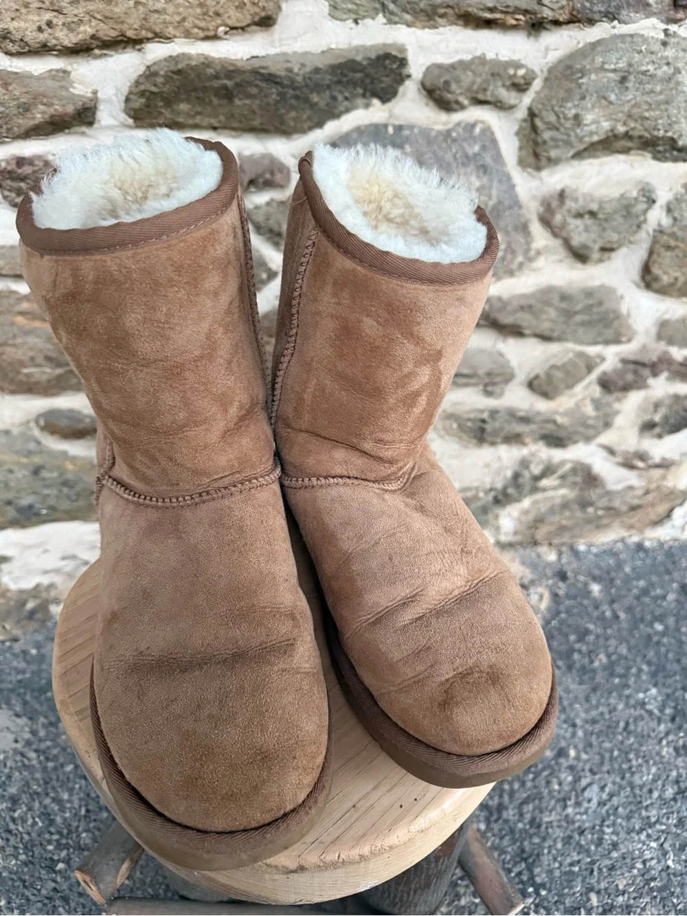 Women’s 7 Short Chesnut Uggs